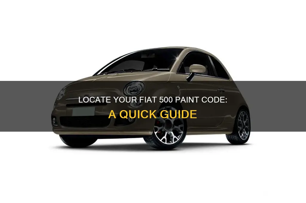 where is the paint code on a fiat 500