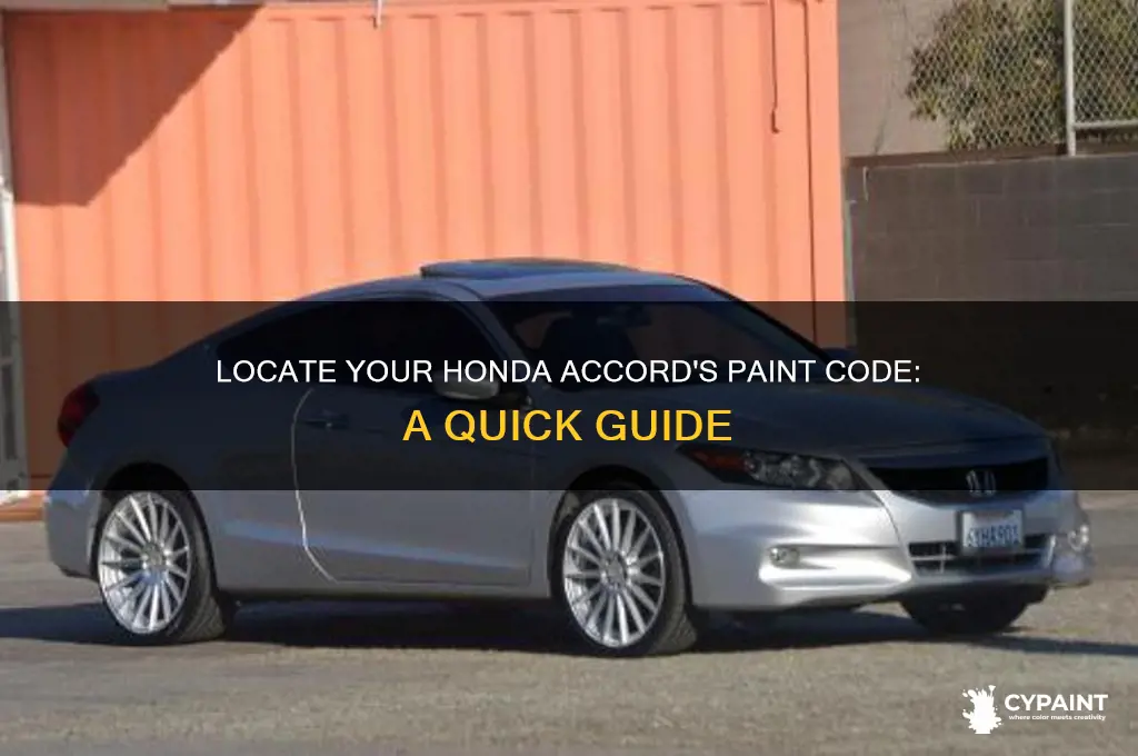where is the paint code on a honda accord