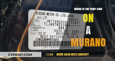 Locate Your Murano's Paint Code: A Quick Guide