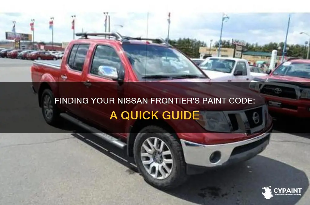 where is the paint code on a nissan frontier