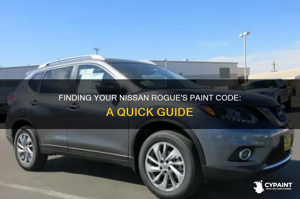 where is the paint code on a nisson rouge