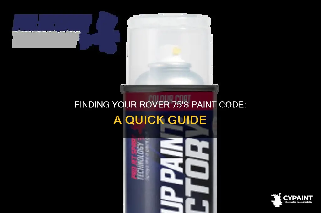 where is the paint code on a rover 75