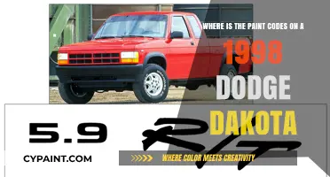 Decoding the Paint Codes on Your 1998 Dodge Dakota