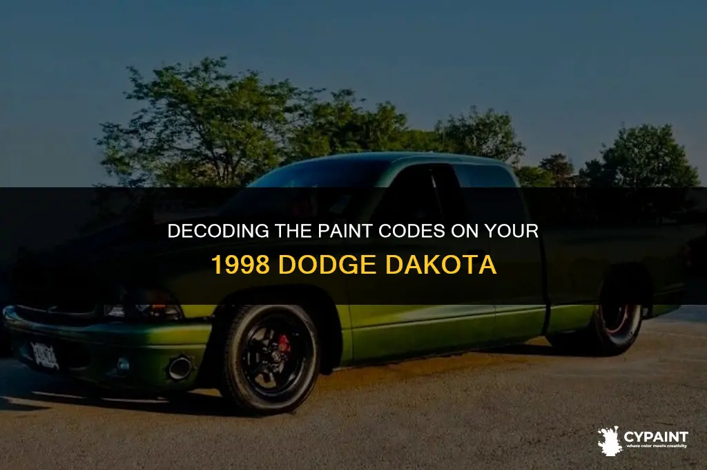where is the paint codes on a 1998 dodge dakota