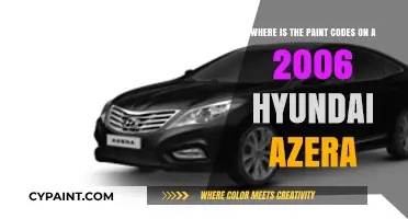 Decoding the Paint Code Mystery: 2006 Hyundai Azera Edition