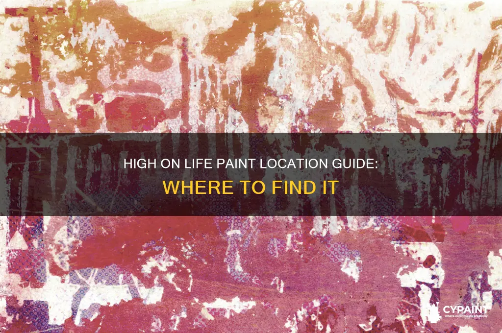 where is the paint in high on life