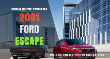 Decoding Your 2001 Ford Escape's Paint Code: A Quick Guide