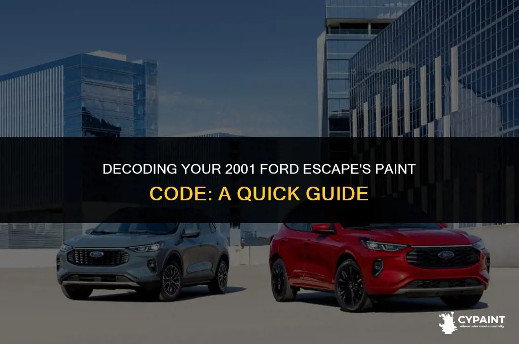 where is the paint number on a 2001 ford escape