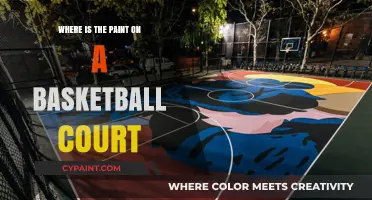 Understanding Basketball Court Paint: Location and Purpose Explained