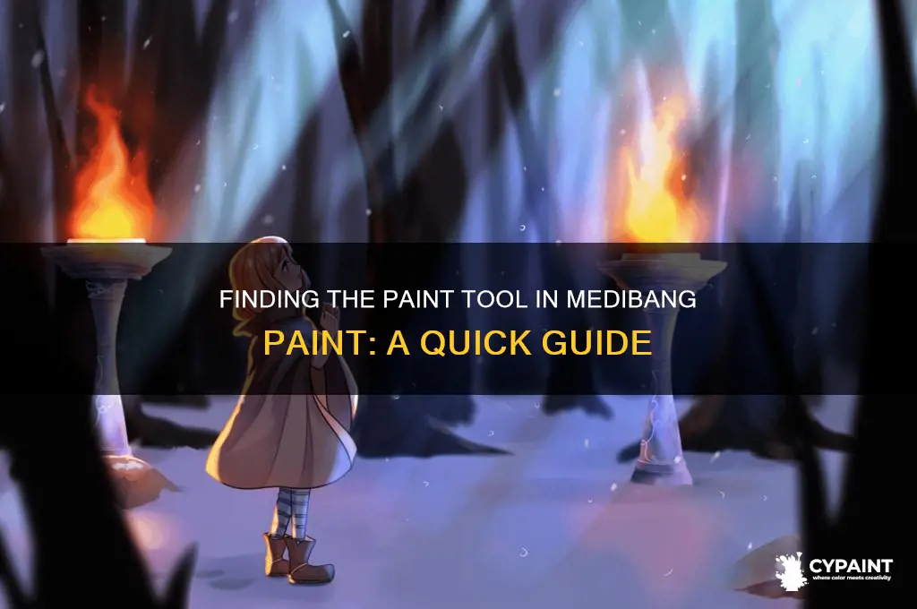 where is the paint tol in medibang paint