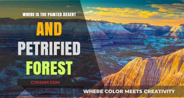 Discover the Painted Desert and Petrified Forest's Stunning Arizona Location