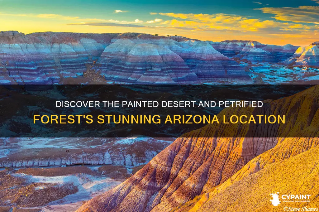 where is the painted desert and petrified forest