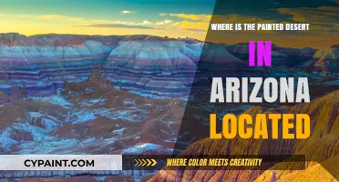 Discovering Arizona's Painted Desert: Location and Scenic Wonders Revealed