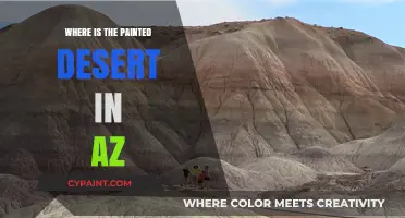 Discovering Arizona's Painted Desert: Location and Natural Wonders