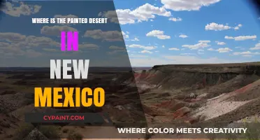 Exploring the Painted Desert: Location and Beauty in New Mexico