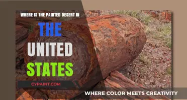 Discovering the Painted Desert: Location and Beauty in the U.S