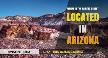 Discovering Arizona's Painted Desert: Location and Natural Wonders