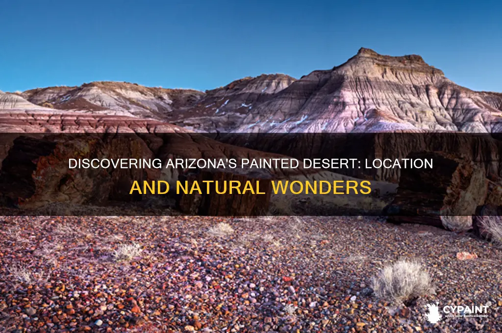 where is the painted desert located in arizona