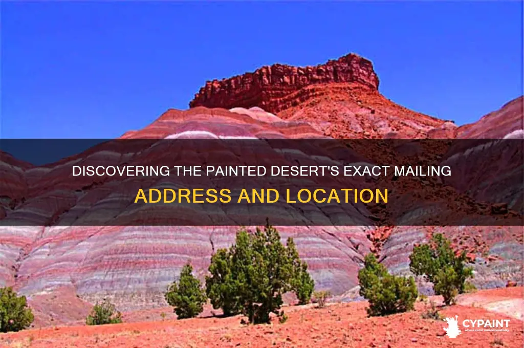 where is the painted desert located mailing address