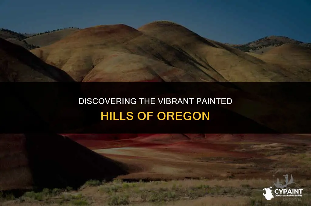 where is the painted hills found in which us state