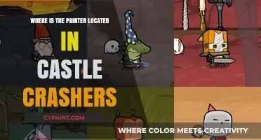 Castle Crashers Painter Location: Uncovering the Hidden Artist's Spot