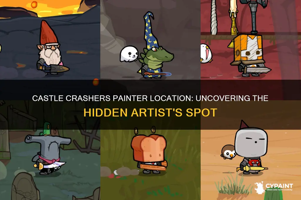 where is the painter located in castle crashers