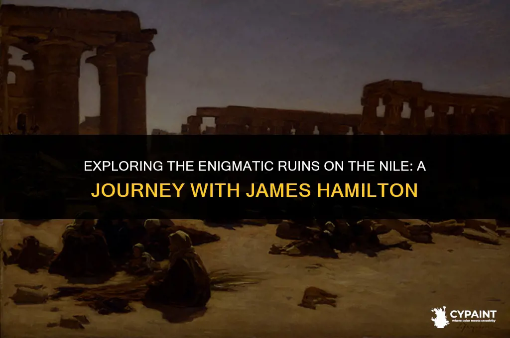 where is the painting ruins on the nile james hamilton