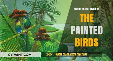 Exploring the Mystical River of the Painted Birds' Hidden Location