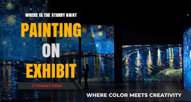 Discover the Starry Night Painting's Current Exhibit Location