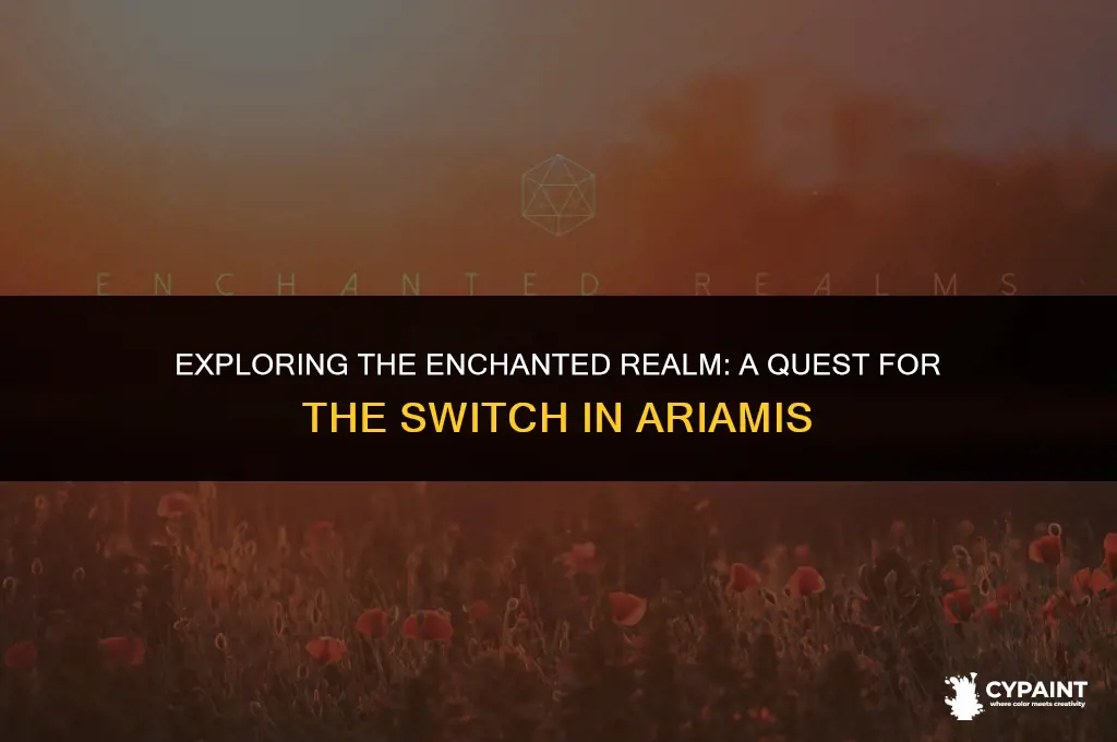 where is the switch in the painted world of ariamis