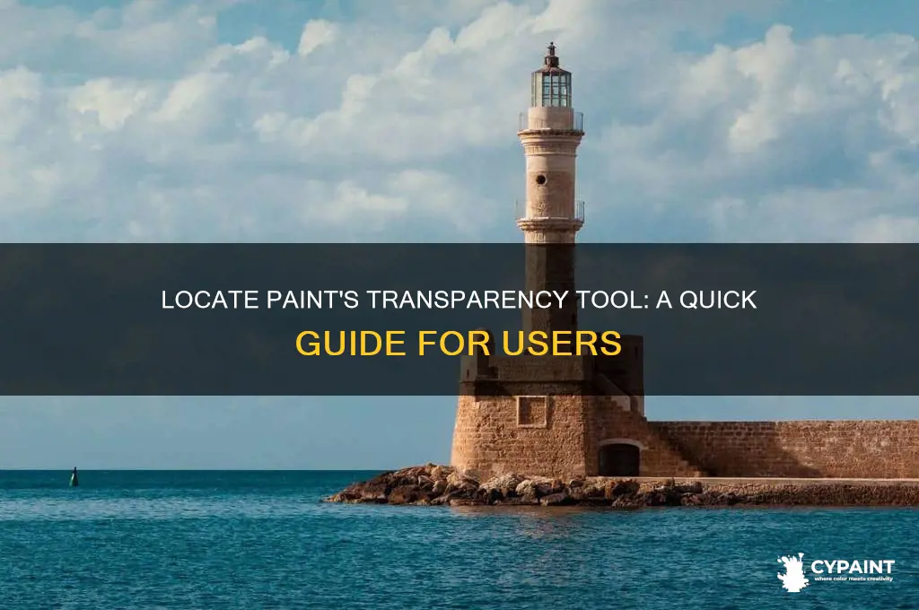 where is the transferency tool situated in paint