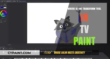 Locate TVPaint's Transform Tool: A Quick Guide for Animators