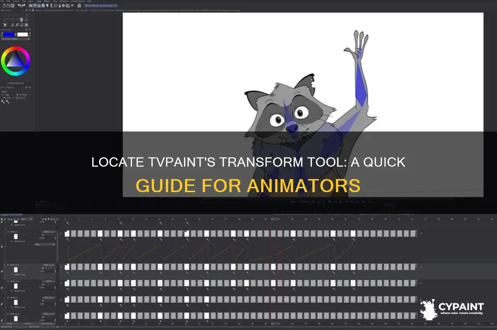 where is the transform tool in tv paint