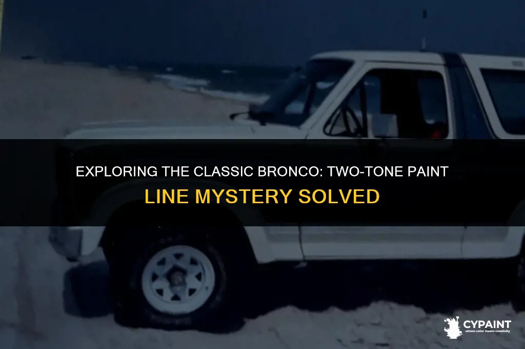 where is the two-tone paint line on a 79 bronco