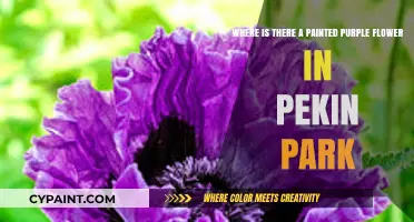 Exploring Pekin Park: The Quest for the Painted Purple Flower