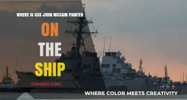 USS John McCain's Painted Legacy: Exploring the Ship's Unique Markings