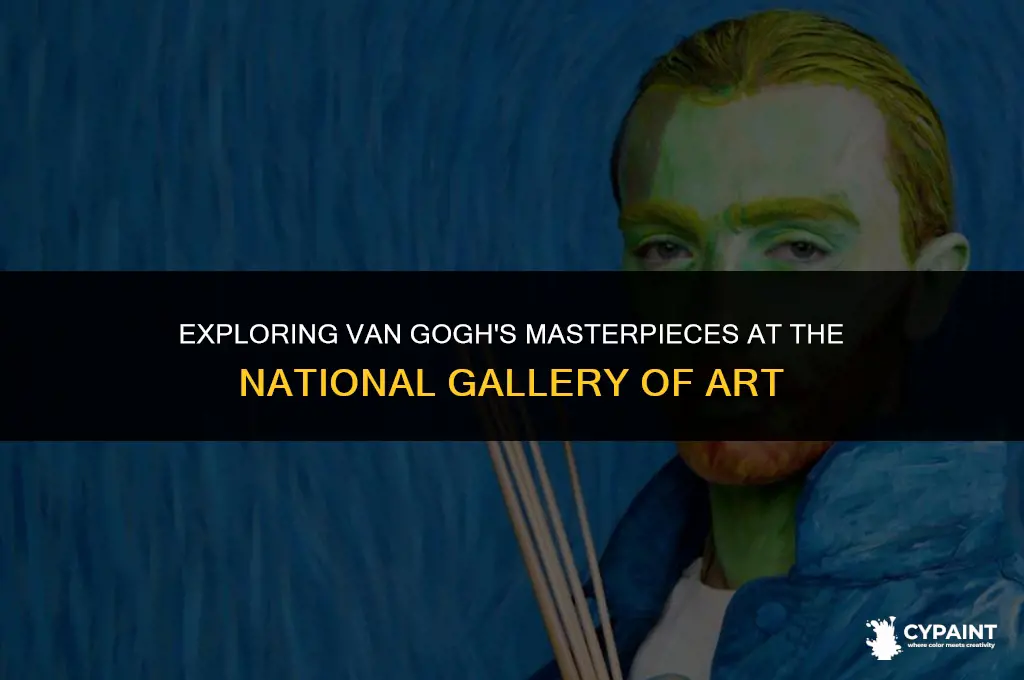 where is van gouhs painting in dc