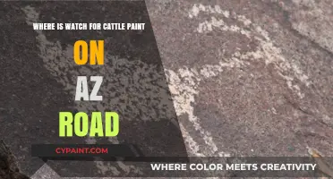 Where to Spot Cattle Guard Art on Arizona Roads