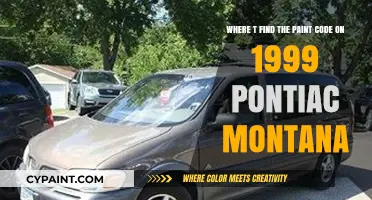 Decoding Your 1999 Pontiac Montana's Paint Code: A Simple Guide