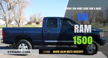 Decoding the Paint Code for a 2006 Dodge Ram 1500