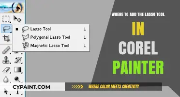 Mastering Corel Painter: Locating and Using the Lasso Tool Effectively