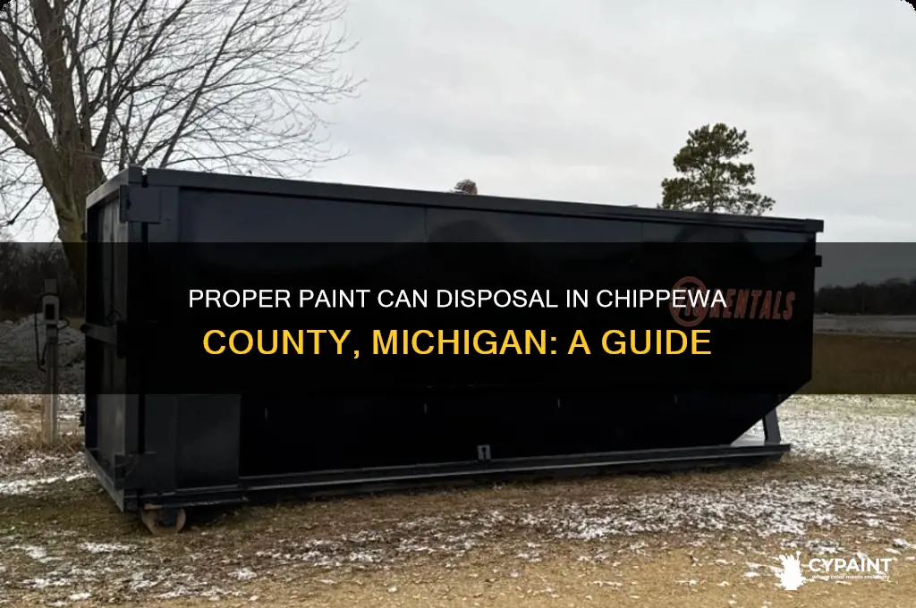 where to dispose of paint cans chippewa county michigan