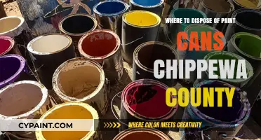 Eco-Friendly Disposal: Where to Recycle Paint Cans in Chippewa County