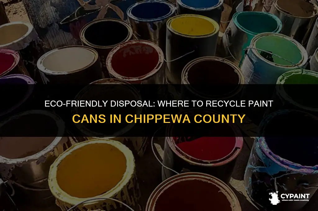 where to dispose of paint cans chippewa county