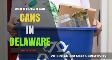 Eco-Friendly Disposal: Where to Recycle Paint Cans in Delaware