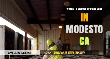 Eco-Friendly Paint Can Disposal Options in Modesto, California