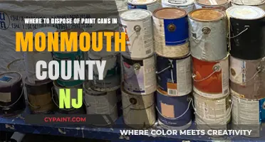 Eco-Friendly Disposal: Where to Recycle Paint Cans in Monmouth County, NJ