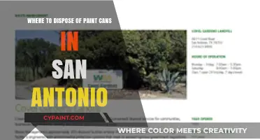 Eco-Friendly Paint Can Disposal Options in San Antonio