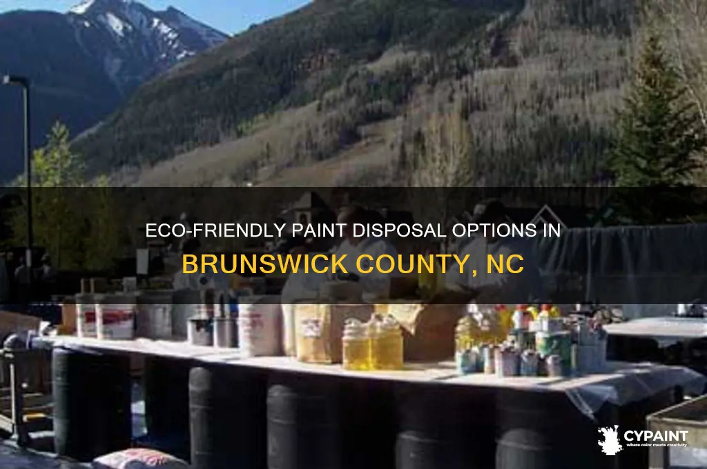 where to dispose of paint in brunswick county nc