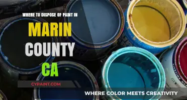 Eco-Friendly Paint Disposal Options in Marin County, California